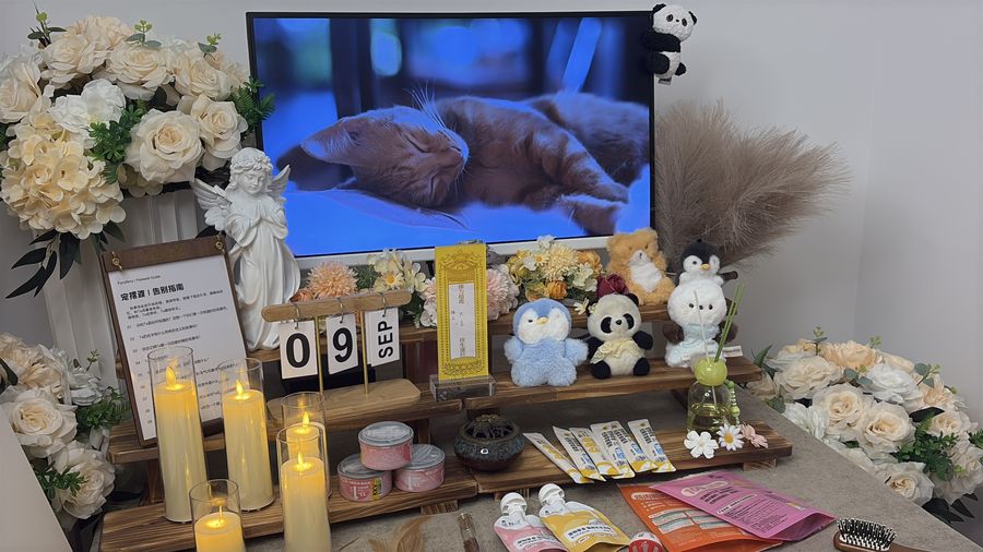 北京西城区宠物殡葬服务部
