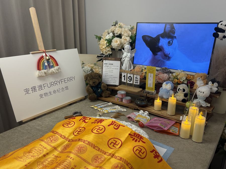 一起走过的那几年
